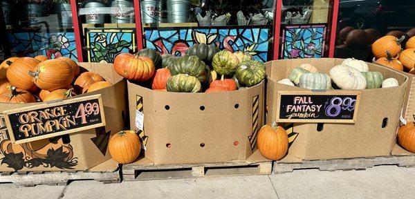 Pumpkins anyone. I liked the fall fantasy because it is white. I'll be back for you.