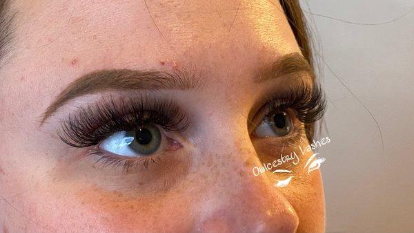 Volume Lashes