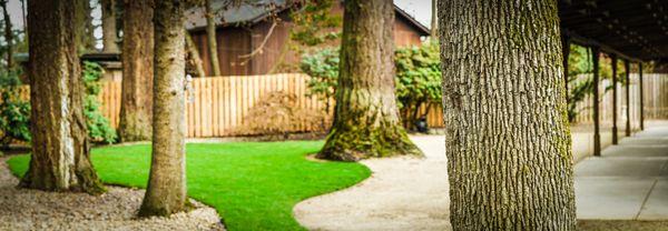 They installed the Sod Lawn and kept the trees in the garden! Lovely Work!