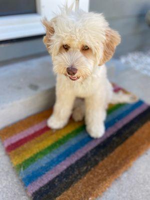 Milo at his home in Hillcrest