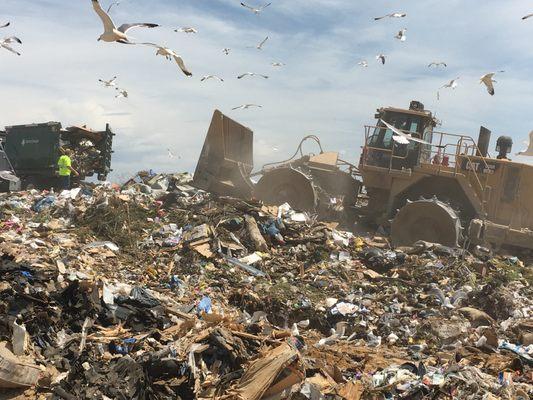 The "tipping face" - where all of your garbage is actually dumped.