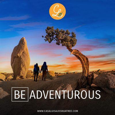 Experience unparalleled adventure in the heart of nature. 

Book your ticket to an adventurous trip: https://casaluisajoshuatree.com