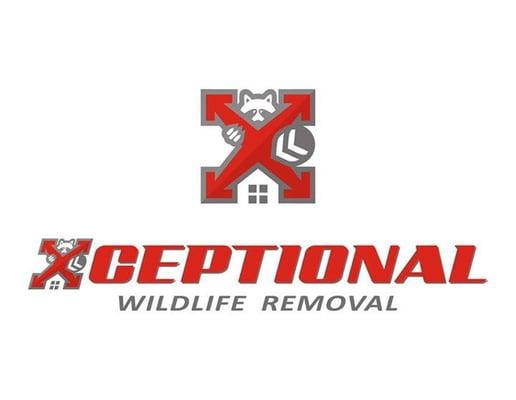 Xceptional Wildlife Removal