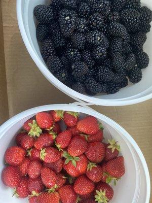 Strawberries and blackberries!