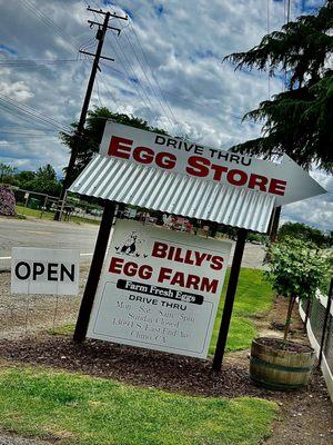 Billy's Egg Farm