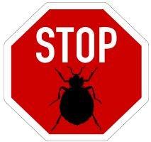 Stop Bed Bugs