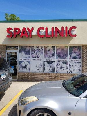 Low Cost Spay Clinic