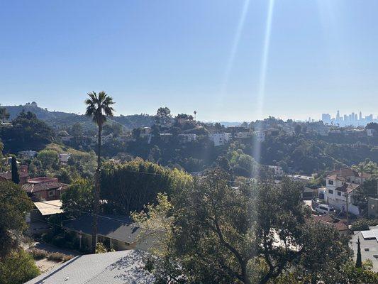 View of downtown LA from top of Hollywoodland neighborhood