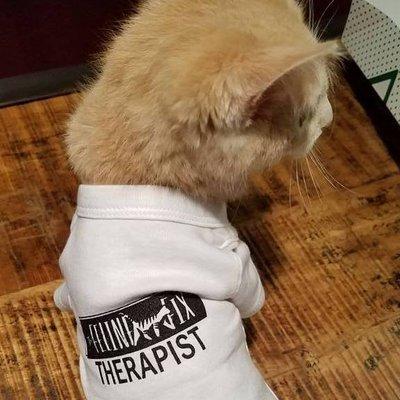 Kitten Therapist