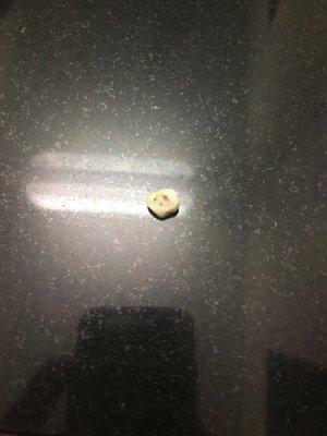 Molar found in drawer