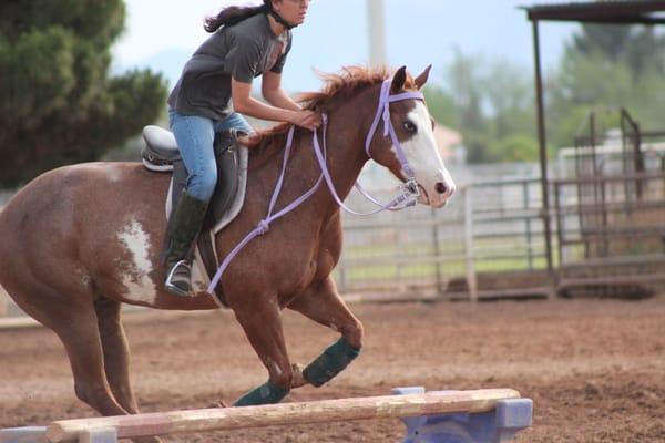 S.T.A.R.S. of Horsemanship