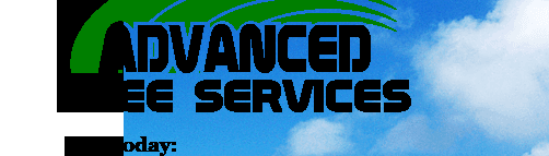 advancetreeservices