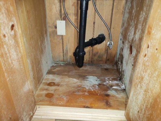 Hot water leaks create excessive steam inside of cabinet or crawlspaces. Perfect for mold. The white is all mold!