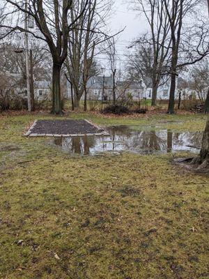 Swampy back yard that could not be delivered to until dry or ground is frozen.