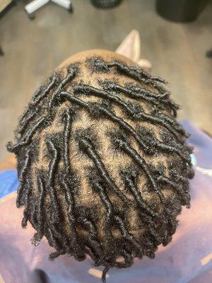 Starter Locs