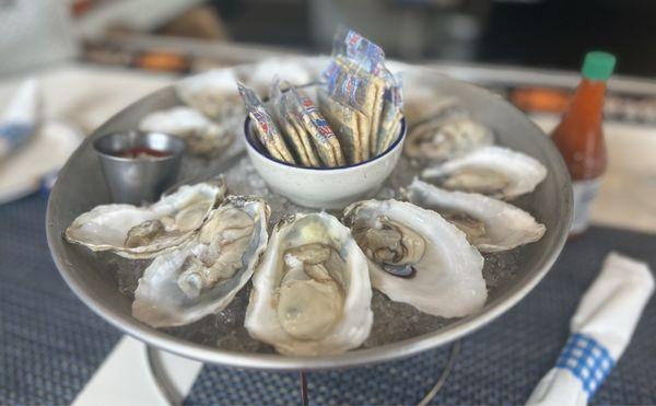 Oysters