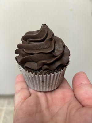 Double Chocolate Cupcake