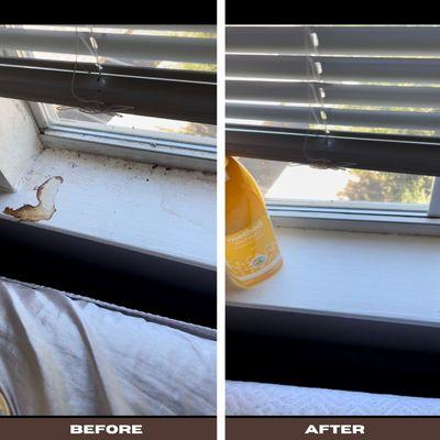 Window Sill Cleaning