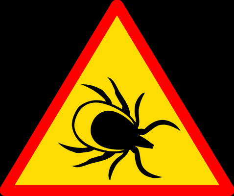 Lyme Prevention