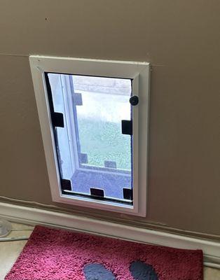 Double-flap doggie door w/ white frame