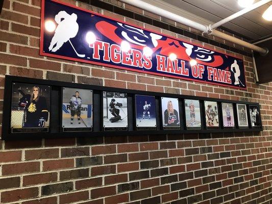 Albert Lea hockey hall of fame. A nice touch.