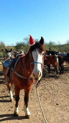 Luke getting ready for the holiday!