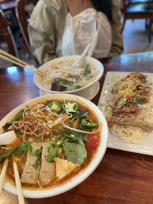 Bun rieu and bun mang vit