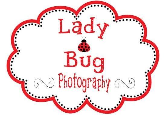 Lady Bug Photography