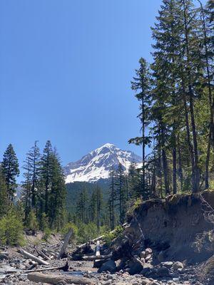 Mt. Hood!