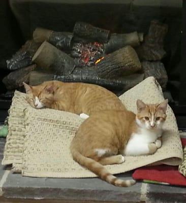 Harrington & Grady by the shop fireplace.