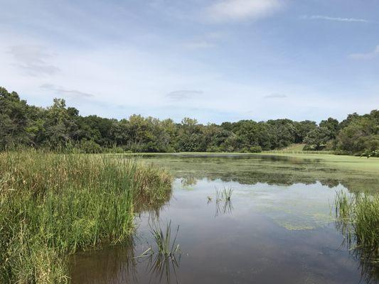 This swampy marsh was pretty neat.