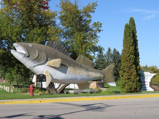 Willie The Walleye