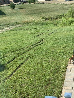 Trench of dirt and grass missing