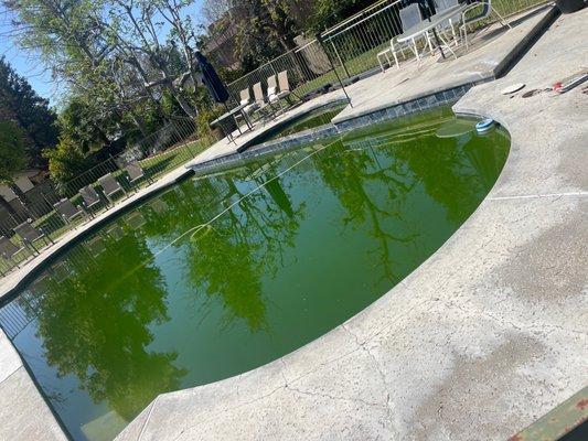 My swamp pool