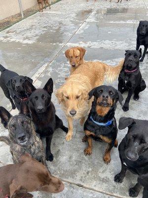 Daycare is the best way to spend a day with friends!