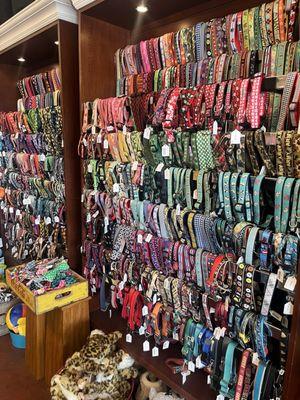 Dog Collars