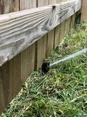 They installed the fence over a sprinkler head.