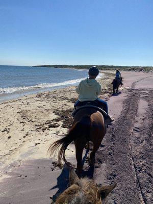 Good look of Prince from the rear, and beach views