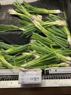 Great green onion price at 99 Ranch! I am used to paying one for $2.99 in Honolulu!