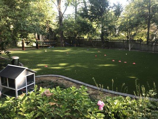 SYNLawn Kentucky Artificial Grass Landscaping and Agility Field