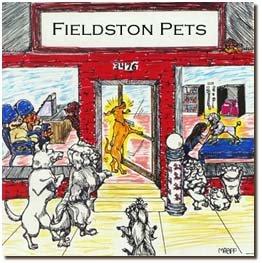 A great place to get your pet groomed !