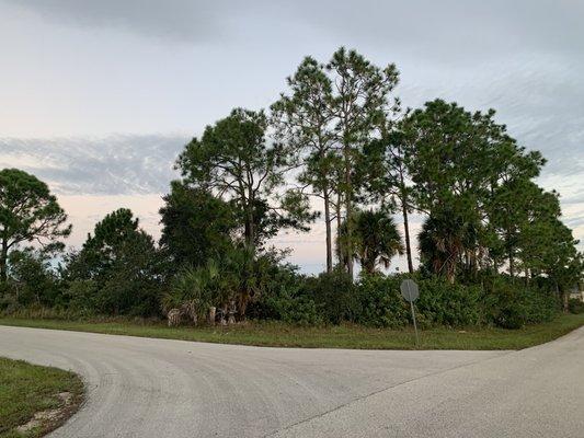 Lot for sale in Lehigh Acres