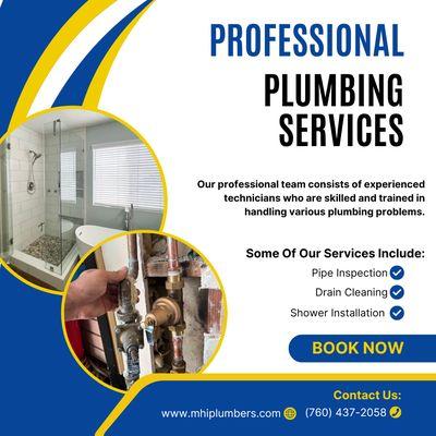 Professional Plumbing Services