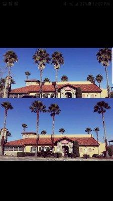 Before & After  Palm tree trimming @ Carino's Italian bar & grill 290 & hwy 6. Follow is on Instagram expert.tree.service