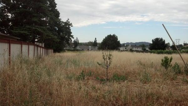 moragn hill lot  before picture