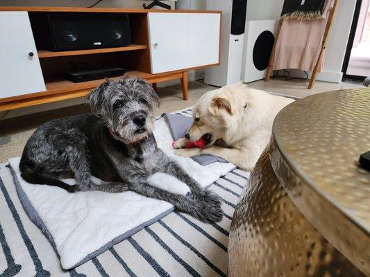 His cousin will share her bed with him but not with her sister, lol.