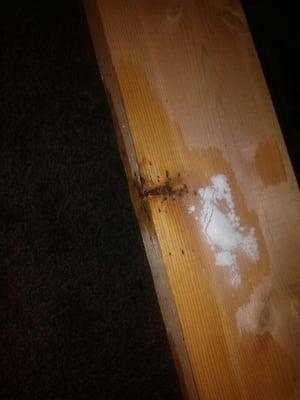 This is where some bed bugs were hiding. It's the wood keeping our mattress and box frame up