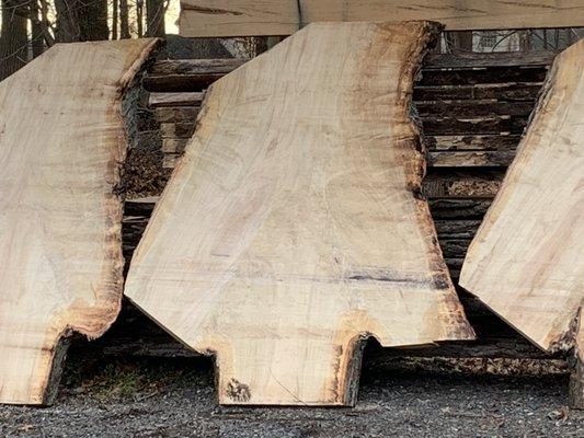 Maple crotch slabs