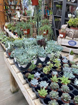 Lowe's Greenhouse, Florist and Gift Shop