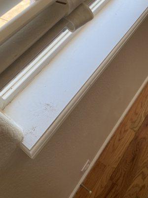 Window sills not dusted